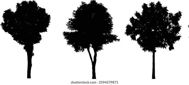 Bare Tree Silhouette Isolated on White Vector illustration in stroke fill in white. Tropical	