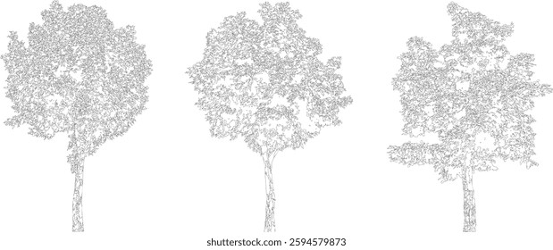 Bare Tree Silhouette Isolated on White Vector illustration in stroke fill in white. Tropical	