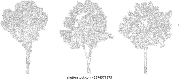 Bare Tree Silhouette Isolated on White Vector illustration in stroke fill in white. Tropical	