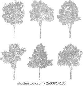 Bare Tree Silhouette Isolated on White Vector illustration in stroke fill in white. Tropical	