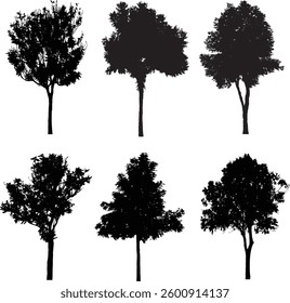 Bare Tree Silhouette Isolated on White Vector illustration in stroke fill in white. Tropical	