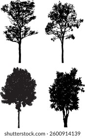 Bare Tree Silhouette Isolated on White Vector illustration in stroke fill in white. Tropical	