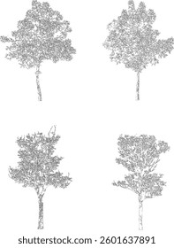 Bare Tree Silhouette Isolated on White Vector illustration in stroke fill in white. Tropical	