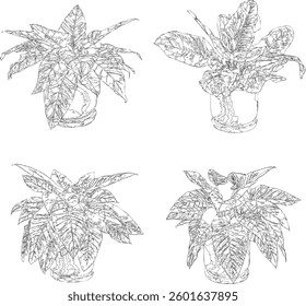 Bare Tree Silhouette Isolated on White Vector illustration in stroke fill in white. Tropical	