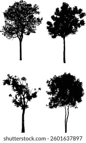 Bare Tree Silhouette Isolated on White Vector illustration in stroke fill in white. Tropical	