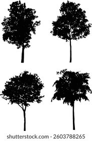 Bare Tree Silhouette Isolated on White Vector illustration in stroke fill in white. Tropical	