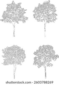 Bare Tree Silhouette Isolated on White Vector illustration in stroke fill in white. Tropical	