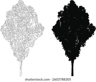 Bare Tree Silhouette Isolated on White Vector illustration in stroke fill in white. Tropical	
