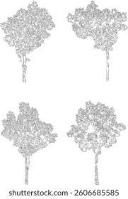 Bare Tree Silhouette Isolated on White Vector illustration in stroke fill in white. Tropical	