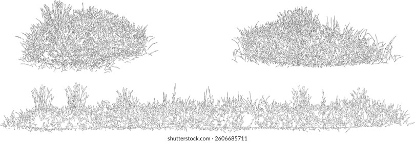 Bare Tree Silhouette Isolated on White Vector illustration in stroke fill in white. Tropical	