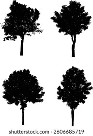 Bare Tree Silhouette Isolated on White Vector illustration in stroke fill in white. Tropical	
