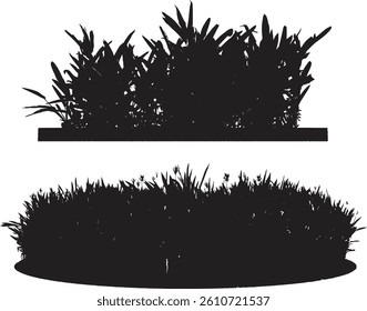 Bare Tree Silhouette Isolated on White Vector illustration in stroke fill in white. Tropical	