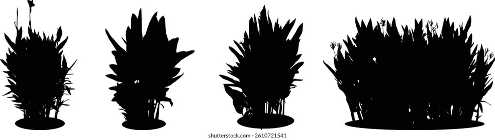 Bare Tree Silhouette Isolated on White Vector illustration in stroke fill in white. Tropical	