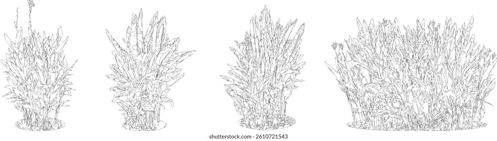 Bare Tree Silhouette Isolated on White Vector illustration in stroke fill in white. Tropical	