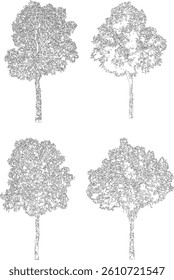 Bare Tree Silhouette Isolated on White Vector illustration in stroke fill in white. Tropical	