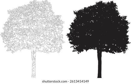 Bare Tree Silhouette Isolated on White Vector illustration in stroke fill in white. Tropical	