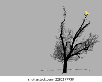 bare tree silhouette with yellow bird