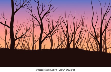 bare tree silhouettes against colorful sunset sky creating dramatic natural landscape background scenery