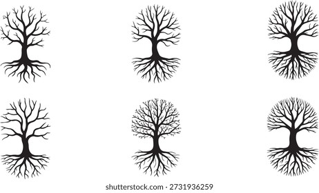 Bare tree silhouettes roots branches