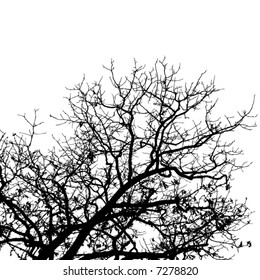 bare tree vector background