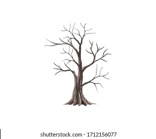 Bare tree vector 