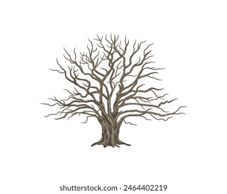 bare tree vector illustrations. dry and dead tree