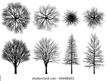 bare tree.
Vector trees isolated on a white background.