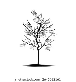 Bare tree without leaves. Dark silhouette. Branch image on a white background. Vector illustration.