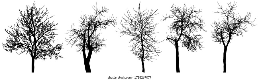 Bare trees (chestnut tree, apple tree, cherry tree), set of silhouette. Vector illustration - Shutterstock ID 1718267077