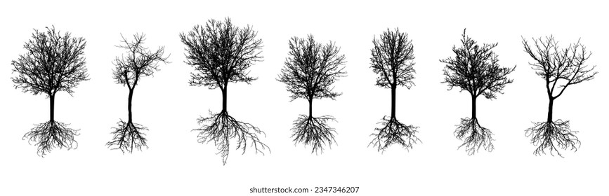 Bare trees with roots. Silhouettes of beautiful deciduous trees with bare branches, set. Vector illustration