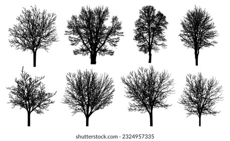 La silueta de los árboles desnudos. Hermosos árboles sin hojas. Ilustración del vector