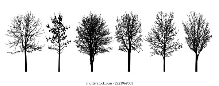 Bare trees silhouette, set. Vector illustration