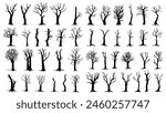 Bare trees silhouettes set. Vector illustration outline forest and trunk wood collection. Art shape drawing and element stem clip art. Dead tree abstract isolated