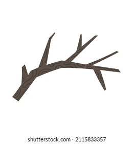 Bare Winter- oder Herbstzweig, flache Vektorgrafik einzeln auf weißem Hintergrund. Pflanzenteile ohne Blätter mit Textur.
