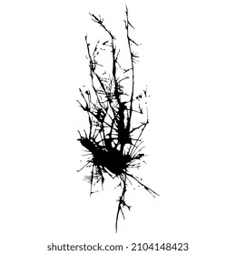 Bare winter tree or bush with naked branches. Blown blot ink spot. Black silhouette on white background.