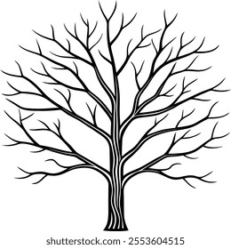 a bare winter tree with fine detailed branches