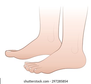 Barefoot - illustration of two human feet - isolated vector on white background.