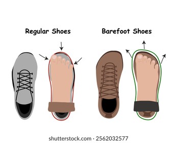 Barefoot shoes. Compare regular vs barefoot shoes. This shoe has a flexible upper and outsole that allows the feet to move and flex naturally, and effectively engage every bone