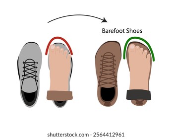 Barefoot shoes. Compare regular vs barefoot shoes. This shoe has a flexible upper and outsole that allows the feet to move and flex naturally, and effectively engage every bone