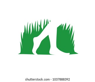 barefoot walk in nature 