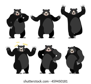 Baribal American black bear set. Grizzly various poses. Expression of emotions. Wild animal yoga. Evil and the good. Sad and happy animal. Large predator strong thumbs up