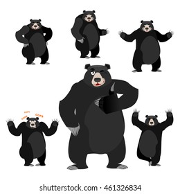 Baribal American black bear set. Grizzly various poses. Expression of emotions. Wild animal yoga. Evil and the good. Sad and happy animal. Large predator strong thumbs up