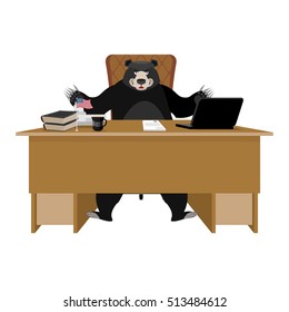 Baribal American black bear sitting in office. Grizzly boss at table. Beast businessman at his desk. Alaska chief. Workplace supervisor. Director desktop. Laptop and mobile phone. Cup coffee and Chair