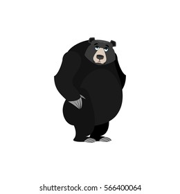 Baribal sad Emoji. American Black Bear wailful emotion isolated