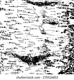 bark of birch in the cracks texture. Vector illustration.