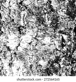 bark of birch in the cracks texture. Vector illustration.