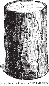 Bark (botánica), Del Diccionario de Palabra y Cosas, 1888.