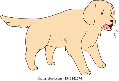 bark golden retriever vector illust