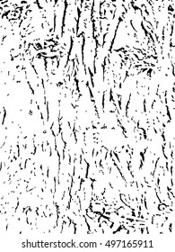  Bark grunge texture for your design.