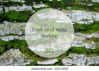 Bark and moss vector texture